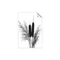 Picture of Cattails  _GroupedProduct_Rectangle_Portrait_Photography _GroupedProduct_Rectangle_Portrait_Unframed_Print_Only_