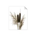 Picture of Cattails  _GroupedProduct_Rectangle_Portrait_Photography _GroupedProduct_Rectangle_Portrait_Unframed_Print_Only_