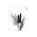 Picture of Cattails  _GroupedProduct_Rectangle_Portrait_Photography _GroupedProduct_Rectangle_Portrait_Unframed_Print_Only_