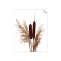Picture of Cattails  _GroupedProduct_Rectangle_Portrait_Photography _GroupedProduct_Rectangle_Portrait_Unframed_Print_Only_