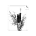 Picture of Cattails  _GroupedProduct_Rectangle_Portrait_Photography _GroupedProduct_Rectangle_Portrait_Unframed_Print_Only_