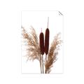 Picture of Cattails  _GroupedProduct_Rectangle_Portrait_Photography _GroupedProduct_Rectangle_Portrait_Unframed_Print_Only_