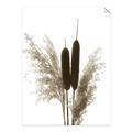 Picture of Cattails  _GroupedProduct_Rectangle_Portrait_Photography _GroupedProduct_Rectangle_Portrait_Unframed_Print_Only_