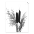 Picture of Cattails  _GroupedProduct_Rectangle_Portrait_Photography _GroupedProduct_Rectangle_Portrait_Unframed_Print_Only_