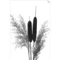 Picture of Cattails  _GroupedProduct_Rectangle_Portrait_Photography _GroupedProduct_Rectangle_Portrait_Unframed_Print_Only_
