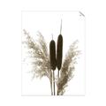 Picture of Cattails  _GroupedProduct_Rectangle_Portrait_Photography _GroupedProduct_Rectangle_Portrait_Unframed_Print_Only_