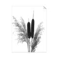 Picture of Cattails  _GroupedProduct_Rectangle_Portrait_Photography _GroupedProduct_Rectangle_Portrait_Unframed_Print_Only_