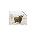 Picture of Cookie, the Cow  _GroupedProduct_Rectangle_Landscape_Photography _GroupedProduct_Rectangle_Landscape_Unframed_Print_Only_