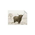 Picture of Cookie, the Cow  _GroupedProduct_Rectangle_Landscape_Photography _GroupedProduct_Rectangle_Landscape_Unframed_Print_Only_