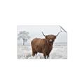 Picture of Cookie, the Cow  _GroupedProduct_Rectangle_Landscape_Photography _GroupedProduct_Rectangle_Landscape_Unframed_Print_Only_