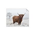 Picture of Cookie, the Cow  _GroupedProduct_Rectangle_Landscape_Photography _GroupedProduct_Rectangle_Landscape_Unframed_Print_Only_