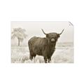 Picture of Cookie, the Cow  _GroupedProduct_Rectangle_Landscape_Photography _GroupedProduct_Rectangle_Landscape_Unframed_Print_Only_