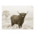 Picture of Cookie, the Cow  _GroupedProduct_Rectangle_Landscape_Photography _GroupedProduct_Rectangle_Landscape_Unframed_Print_Only_