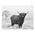 Picture of Cookie, the Cow  _GroupedProduct_Rectangle_Landscape_Photography _GroupedProduct_Rectangle_Landscape_Unframed_Print_Only_