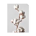 Picture of Cotton _GroupedProduct_Rectangle_Portrait_Photography _GroupedProduct_Rectangle_Portrait_Unframed_Print_Only_
