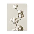 Picture of Cotton _GroupedProduct_Rectangle_Portrait_Photography _GroupedProduct_Rectangle_Portrait_Unframed_Print_Only_