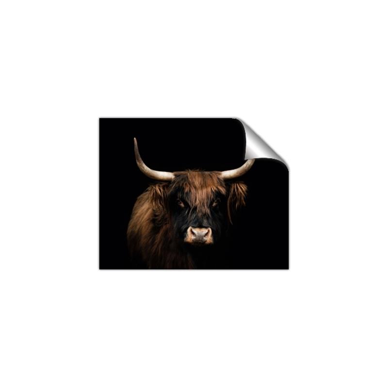 Picture of Dixie, the Bull   _GroupedProduct_Rectangle_Landscape_Photography _GroupedProduct_Rectangle_Landscape_Unframed_Print_Only_