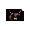Picture of Dixie, the Bull   _GroupedProduct_Rectangle_Landscape_Photography _GroupedProduct_Rectangle_Landscape_Unframed_Print_Only_