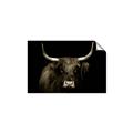 Picture of Dixie, the Bull   _GroupedProduct_Rectangle_Landscape_Photography _GroupedProduct_Rectangle_Landscape_Unframed_Print_Only_