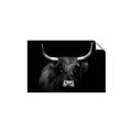 Picture of Dixie, the Bull   _GroupedProduct_Rectangle_Landscape_Photography _GroupedProduct_Rectangle_Landscape_Unframed_Print_Only_