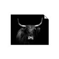 Picture of Dixie, the Bull   _GroupedProduct_Rectangle_Landscape_Photography _GroupedProduct_Rectangle_Landscape_Unframed_Print_Only_