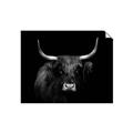 Picture of Dixie, the Bull   _GroupedProduct_Rectangle_Landscape_Photography _GroupedProduct_Rectangle_Landscape_Unframed_Print_Only_