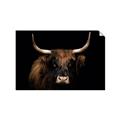 Picture of Dixie, the Bull   _GroupedProduct_Rectangle_Landscape_Photography _GroupedProduct_Rectangle_Landscape_Unframed_Print_Only_