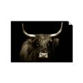 Picture of Dixie, the Bull   _GroupedProduct_Rectangle_Landscape_Photography _GroupedProduct_Rectangle_Landscape_Unframed_Print_Only_