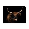 Picture of Dixie, the Bull   _GroupedProduct_Rectangle_Landscape_Photography _GroupedProduct_Rectangle_Landscape_Unframed_Print_Only_