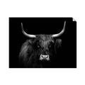 Picture of Dixie, the Bull   _GroupedProduct_Rectangle_Landscape_Photography _GroupedProduct_Rectangle_Landscape_Unframed_Print_Only_