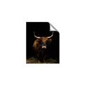 Picture of Dixie, the Bull II _GroupedProduct_Rectangle_Portrait_Photography _GroupedProduct_Rectangle_Portrait_Unframed_Print_Only_
