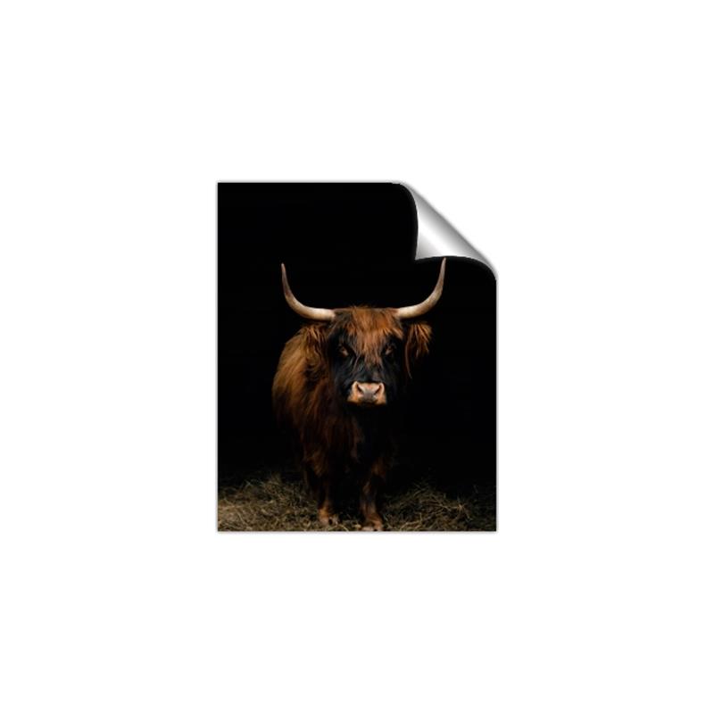 Picture of Dixie, the Bull II _GroupedProduct_Rectangle_Portrait_Photography _GroupedProduct_Rectangle_Portrait_Unframed_Print_Only_
