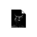Picture of Dixie, the Bull II _GroupedProduct_Rectangle_Portrait_Photography _GroupedProduct_Rectangle_Portrait_Unframed_Print_Only_
