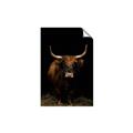 Picture of Dixie, the Bull II _GroupedProduct_Rectangle_Portrait_Photography _GroupedProduct_Rectangle_Portrait_Unframed_Print_Only_
