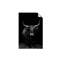 Picture of Dixie, the Bull II _GroupedProduct_Rectangle_Portrait_Photography _GroupedProduct_Rectangle_Portrait_Unframed_Print_Only_