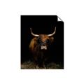 Picture of Dixie, the Bull II _GroupedProduct_Rectangle_Portrait_Photography _GroupedProduct_Rectangle_Portrait_Unframed_Print_Only_
