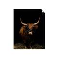 Picture of Dixie, the Bull II _GroupedProduct_Rectangle_Portrait_Photography _GroupedProduct_Rectangle_Portrait_Unframed_Print_Only_