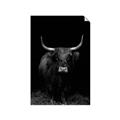 Picture of Dixie, the Bull II _GroupedProduct_Rectangle_Portrait_Photography _GroupedProduct_Rectangle_Portrait_Unframed_Print_Only_
