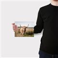 Picture of Beautiful Cow, Bella  _GroupedProduct_Rectangle_Landscape_Photography _GroupedProduct_Rectangle_Landscape_Canvas_