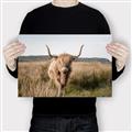 Picture of Beautiful Cow, Bella  _GroupedProduct_Rectangle_Landscape_Photography _GroupedProduct_Rectangle_Landscape_Canvas_