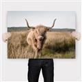 Picture of Beautiful Cow, Bella  _GroupedProduct_Rectangle_Landscape_Photography _GroupedProduct_Rectangle_Landscape_Canvas_