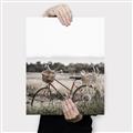 Picture of Bicycle Basket _GroupedProduct_Rectangle_Portrait_Photography _GroupedProduct_Rectangle_Portrait_Canvas_