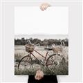 Picture of Bicycle Basket _GroupedProduct_Rectangle_Portrait_Photography _GroupedProduct_Rectangle_Portrait_Canvas_