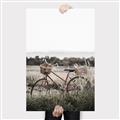 Picture of Bicycle Basket _GroupedProduct_Rectangle_Portrait_Photography _GroupedProduct_Rectangle_Portrait_Canvas_