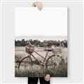 Picture of Bicycle Basket _GroupedProduct_Rectangle_Portrait_Photography _GroupedProduct_Rectangle_Portrait_Canvas_