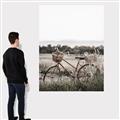 Picture of Bicycle Basket _GroupedProduct_Rectangle_Portrait_Photography _GroupedProduct_Rectangle_Portrait_Canvas_