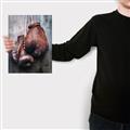 Picture of Boxing Gloves _GroupedProduct_Rectangle_Portrait_Photography _GroupedProduct_Rectangle_Portrait_Canvas_
