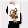 Picture of Brown Fall  _GroupedProduct_Rectangle_Portrait_Photography _GroupedProduct_Rectangle_Portrait_Canvas_