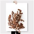 Picture of Brown Fall  _GroupedProduct_Rectangle_Portrait_Photography _GroupedProduct_Rectangle_Portrait_Canvas_
