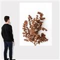 Picture of Brown Fall  _GroupedProduct_Rectangle_Portrait_Photography _GroupedProduct_Rectangle_Portrait_Canvas_